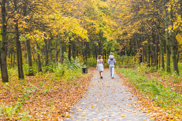 invest with GSH invest with GSH